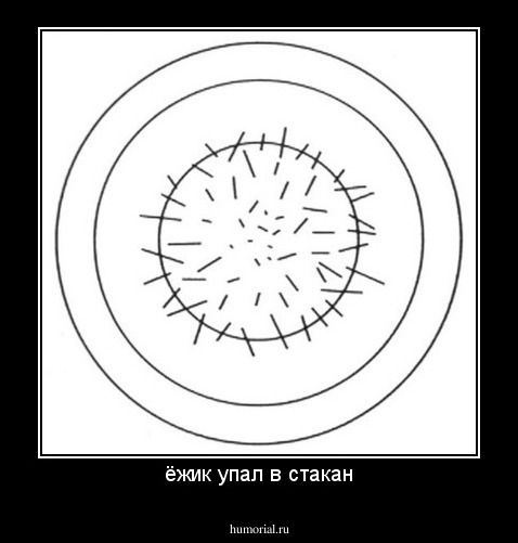 ёжик упал в стакан