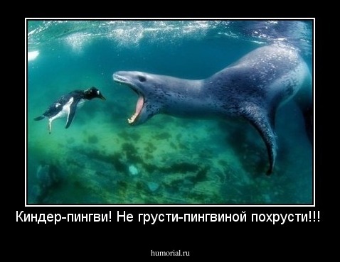 Киндер-пингви! Не грусти-пингвиной похрусти!!!