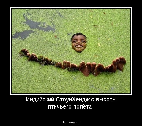 Индийский СтоунХендж с высоты птичьего полёта