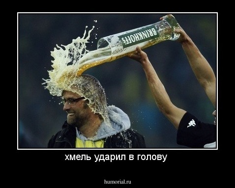 хмель ударил в голову 