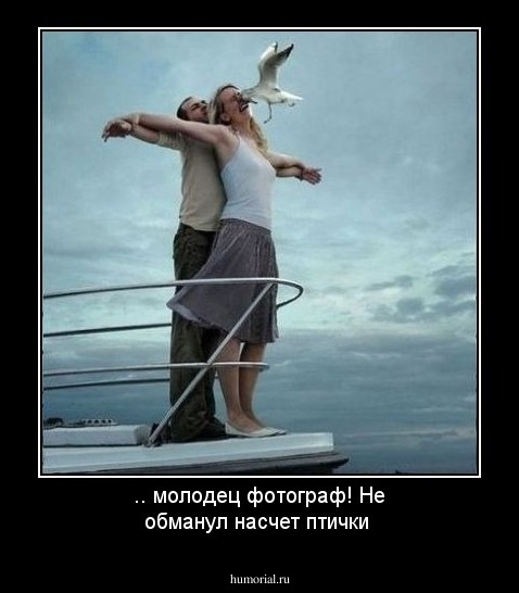 .. молодец фотограф! Не  обманул насчет птички