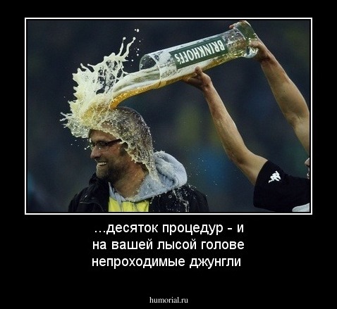 ...десяток процедур - и на вашей лысой голове непроходимые джунгли