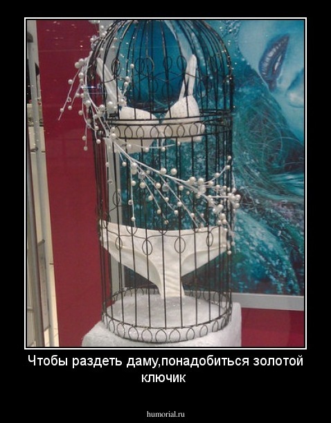 Чтобы раздеть даму,понадобиться золотой ключик