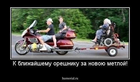К ближайшему орешнику за новою метлой!