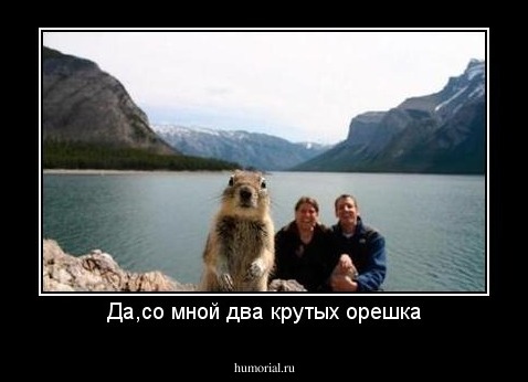 Да,со мной два крутых орешка
