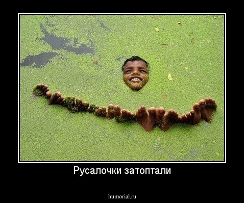 Русалочки затоптали