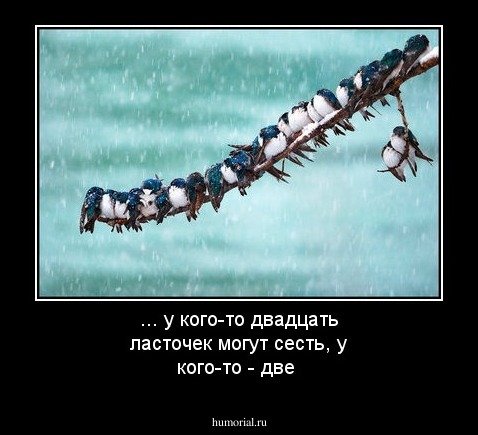 ... у кого-то двадцать ласточек могут сесть, у кого-то - две