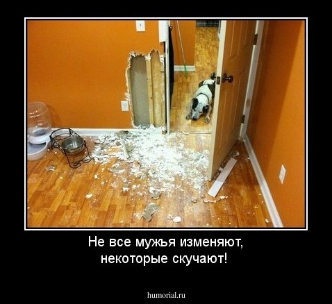 Не все мужья изменяют, некоторые скучают!