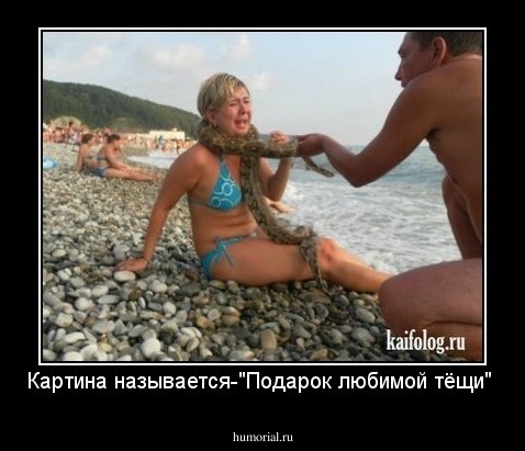 Картина называется-"Подарок любимой тёщи"