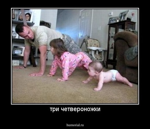 три четвероножки