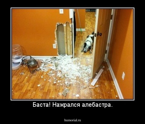 Баста! Нажрался алебастра.