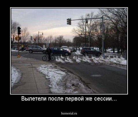 Вылетели после первой же сессии...