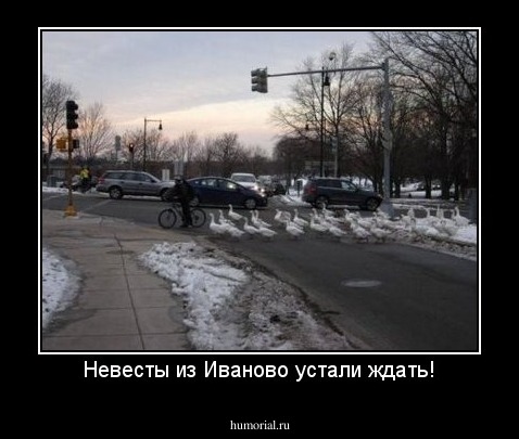 Невесты из Иваново устали ждать!