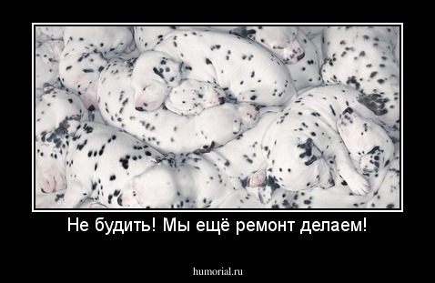 Не будить! Мы ещё ремонт делаем!