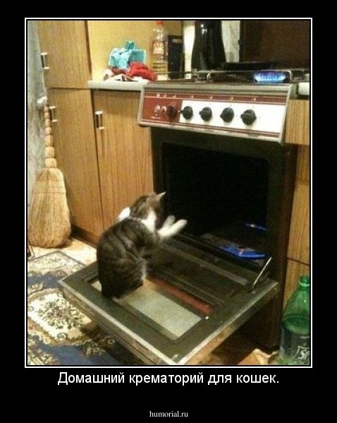 Домашний крематорий для кошек.