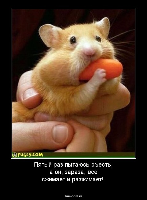 Пятый раз пытаюсь съесть, а он, зараза, всё сжимает и разжимает!