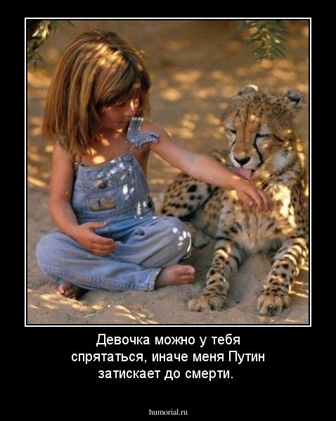 Девочка можно у тебя спрятаться, иначе меня Путин затискает до смерти.