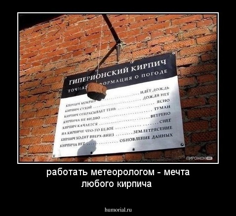работать метеорологом - мечта любого кирпича