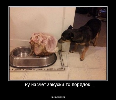 - ну насчет закуски-то порядок...