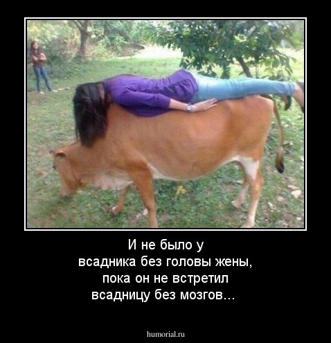 И не было у всадника без головы жены, пока он не встретил всадницу без мозгов...