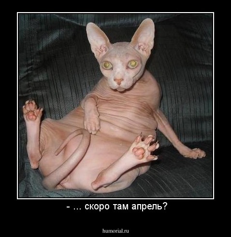  - ... скоро там апрель?