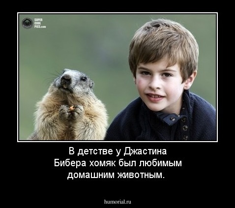 В детстве у Джастина Бибера хомяк был любимым домашним животным.