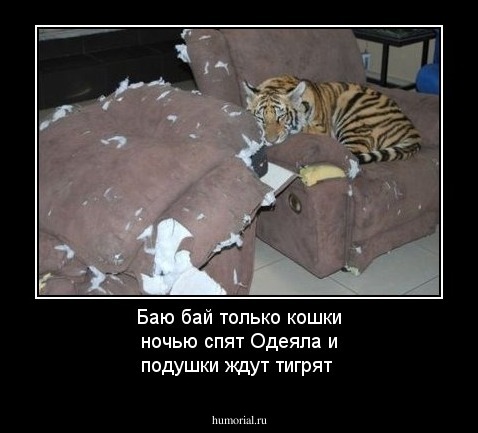Баю бай только кошки ночью спят
Одеяла и подушки ждут тигрят