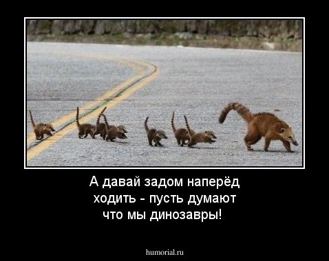 А давай задом наперёд ходить - пусть думают что мы динозавры!
