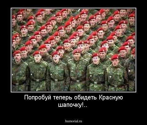 Попробуй теперь обидеть Красную шапочку!..