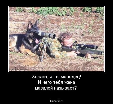 Хозяин, а ты молодец! И чего тебя жена мазилой называет?