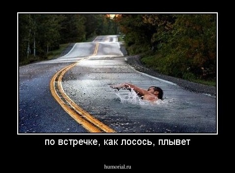 по встречке, как лосось, плывет