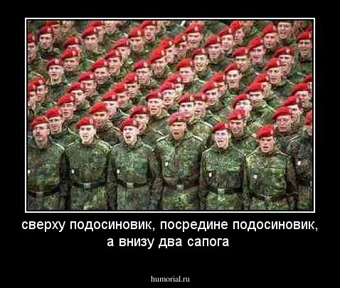 сверху подосиновик, посредине подосиновик, а внизу два сапога