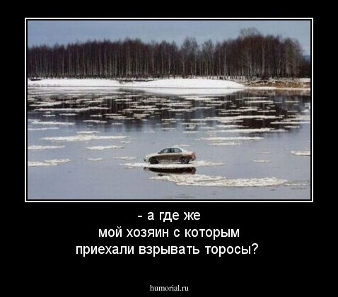 - а где же мой хозяин с которым приехали взрывать торосы?  