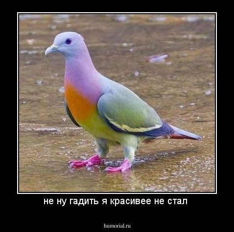 не ну гадить я красивее не стал 
