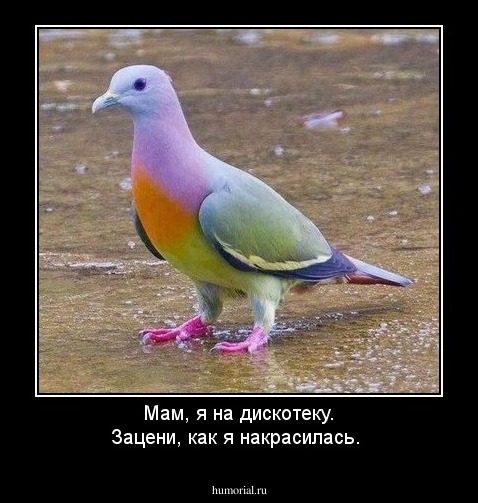 Мам, я на дискотеку. Зацени, как я накрасилась.