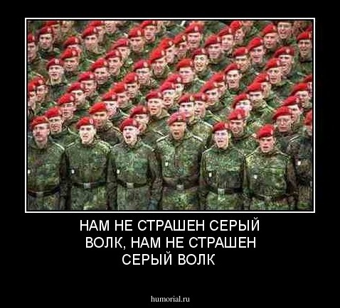 НАМ НЕ СТРАШЕН СЕРЫЙ ВОЛК,
НАМ НЕ СТРАШЕН СЕРЫЙ ВОЛК