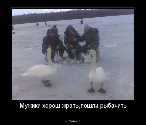 Мужики хорош жрать,пошли рыбачить
