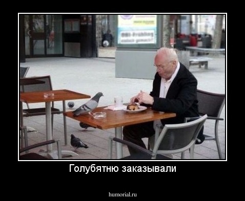 Голубятню заказывали