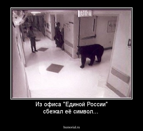 Из офиса "Единой России" сбежал её символ...
