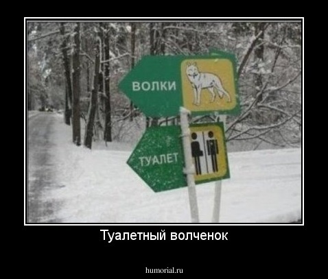 Туалетный волченок