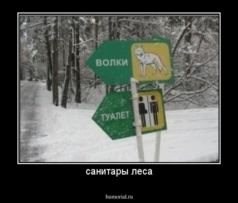 санитары леса