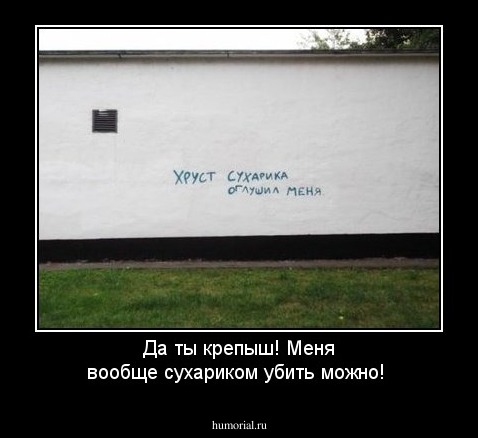 Да ты крепыш! Меня вообще сухариком убить можно!