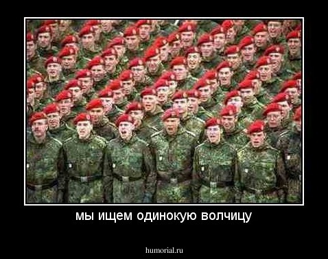 мы ищем одинокую волчицу