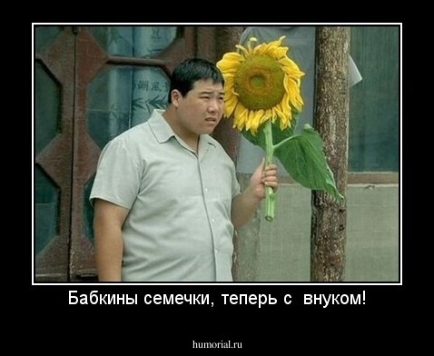 Бабкины семечки, теперь с  внуком!