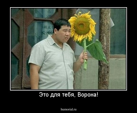Это для тебя, Ворона!