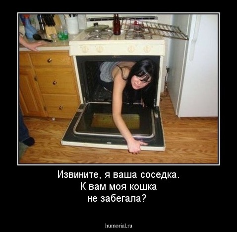 Извините, я ваша соседка. К вам моя кошка не забегала?