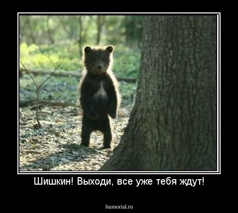 Шишкин! Выходи, все уже тебя ждут!