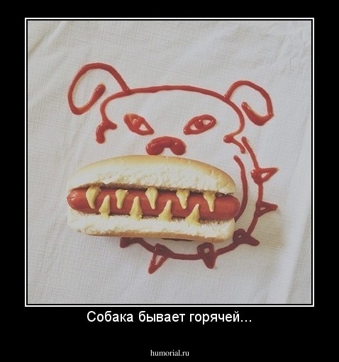 Собака бывает горячей...