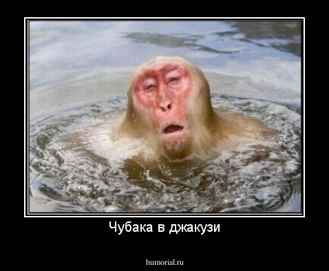 Чубака в джакузи