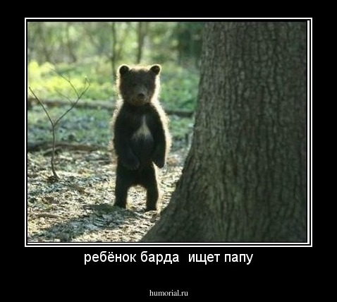 ребёнок барда  ищет папу